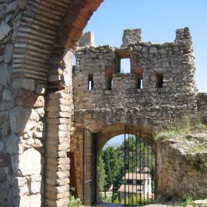443-castell_porta_dentallada.jpg