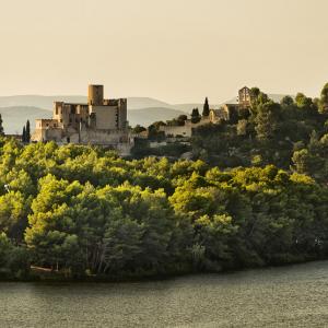 Castell de Castellet i entorno