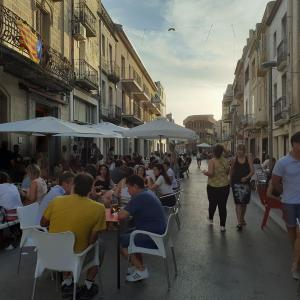 Sant Sadurní wine terrasses