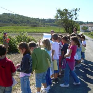 School activities on the Winemaking routes of Subirats