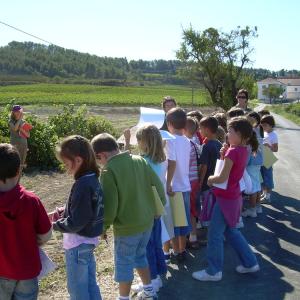 Actividades escolares en las Rutas Vitivinícolas de Subirats