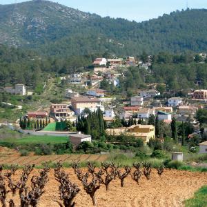 Olesa de Bonesvalls view of village