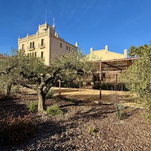 El jardí de Casa Torrada amb Casa Balada al fons.