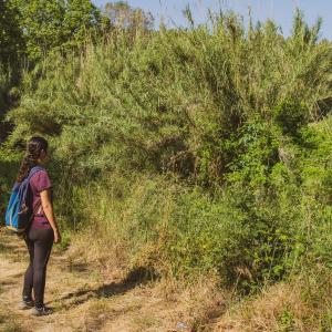 El Secret del Ton. El Camí del riu