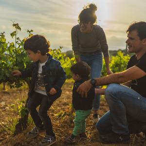 El Secret del Vicenç. Contemplar el Penedès des d’una cadira gegant