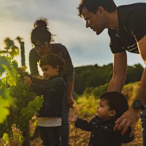 El Secret del Vicenç. Contemplar el Penedès des d’una cadira gegant