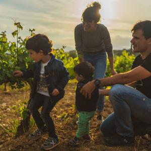 El Secret del Vicenç. Contemplar el Penedès des d’una cadira gegant