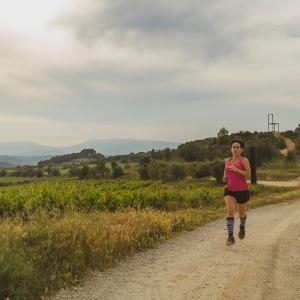 El Secret del Vicenç. Contemplar el Penedès des d’una cadira gegant