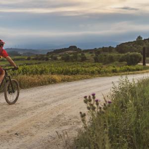 El Secret del Vicenç. Contemplar el Penedès des d’una cadira gegant