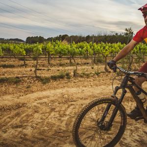 El Secret del Vicenç. Contemplar el Penedès des d’una cadira gegant