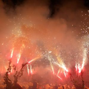 El Secret de la Maria. La festa de la Fil·loxera