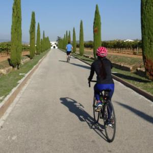 BIKE TOURS & CYCLING HOLIDAYS BARCELONA PENEDÈS