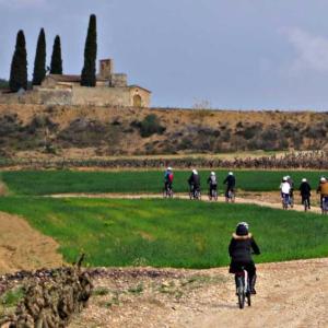  Bikemotions - Lloguers i Rutes en Bici