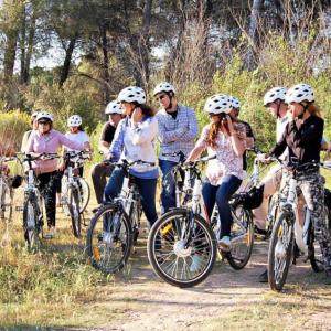  Bikemotions - Lloguers i Rutes en Bici