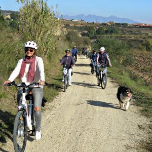  Bikemotions - Lloguers i Rutes en Bici