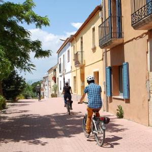  Bikemotions - Lloguers i Rutes en Bici