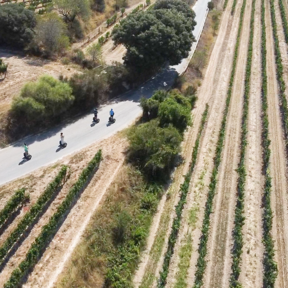 Esportec Segway Penedès Tour Segway entre vinyes Esportec