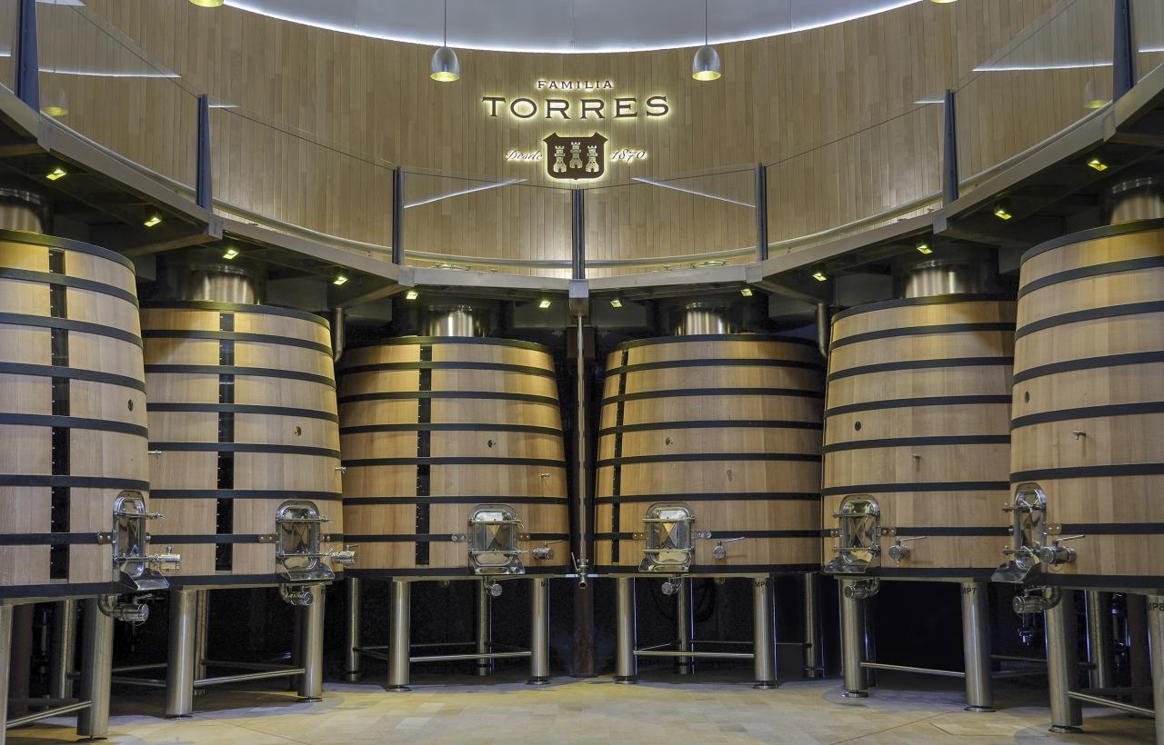 Sala de Vinificació Mas La Plana Família Torres
