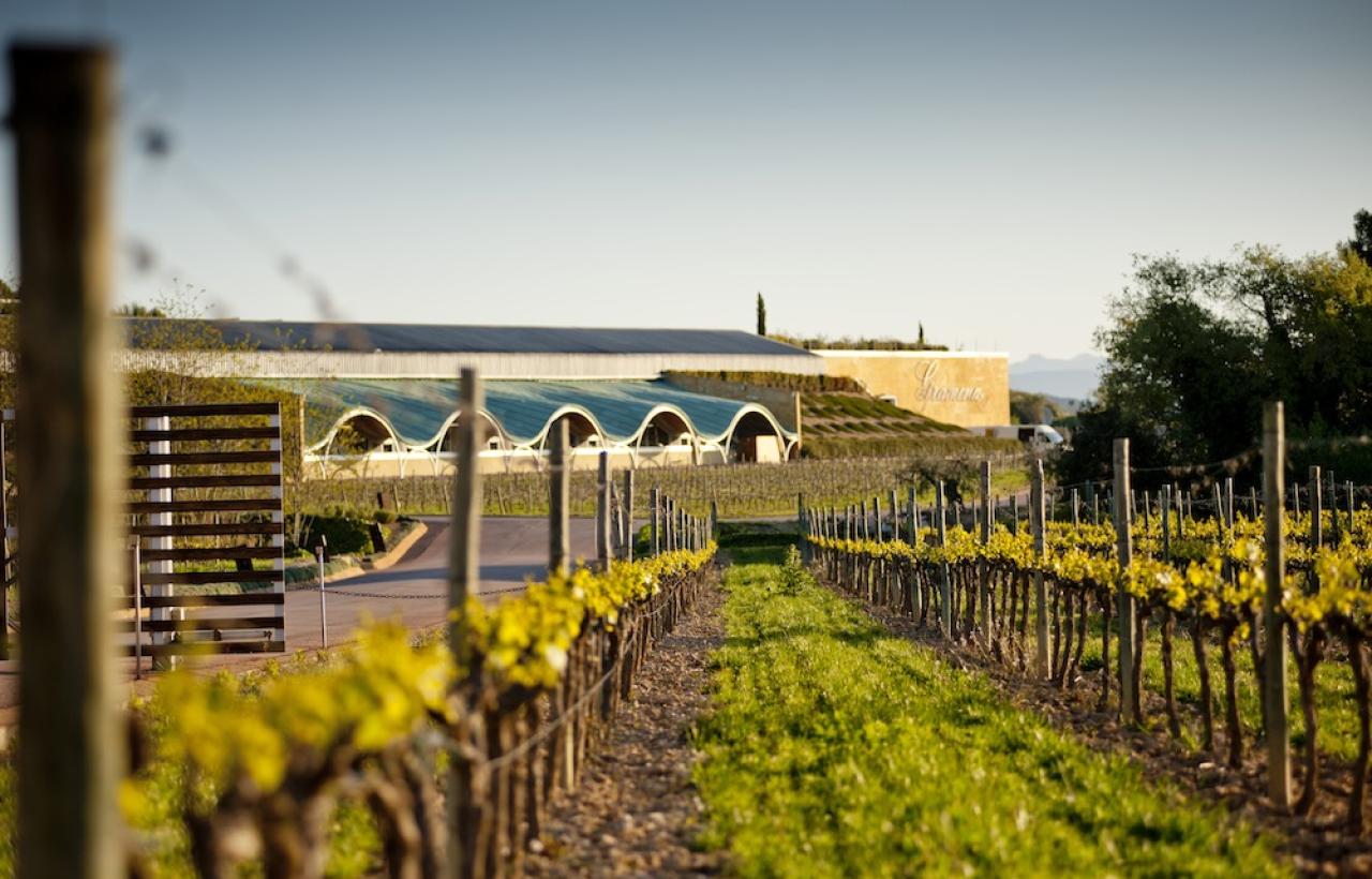 CELLER BATLLE - GRAMONA.jpg