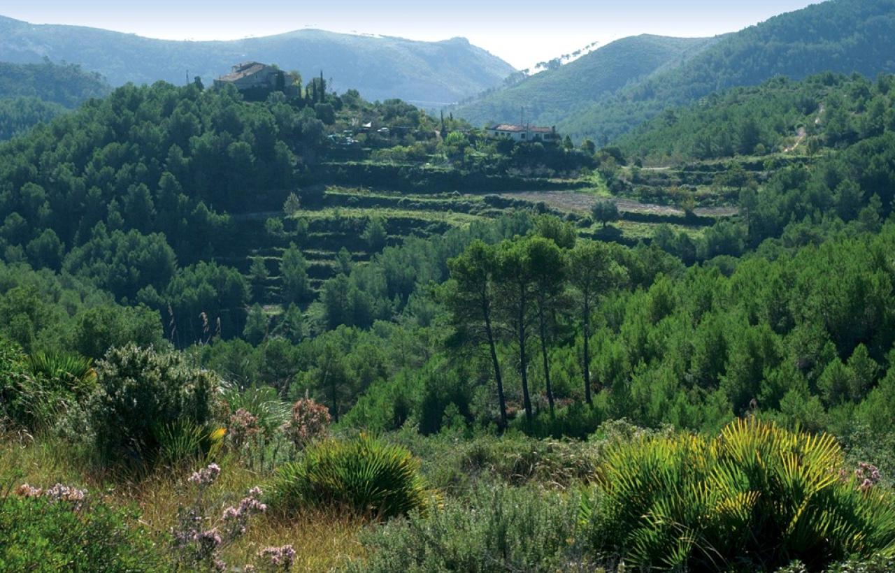 Parque Comarcal de Olèrdola