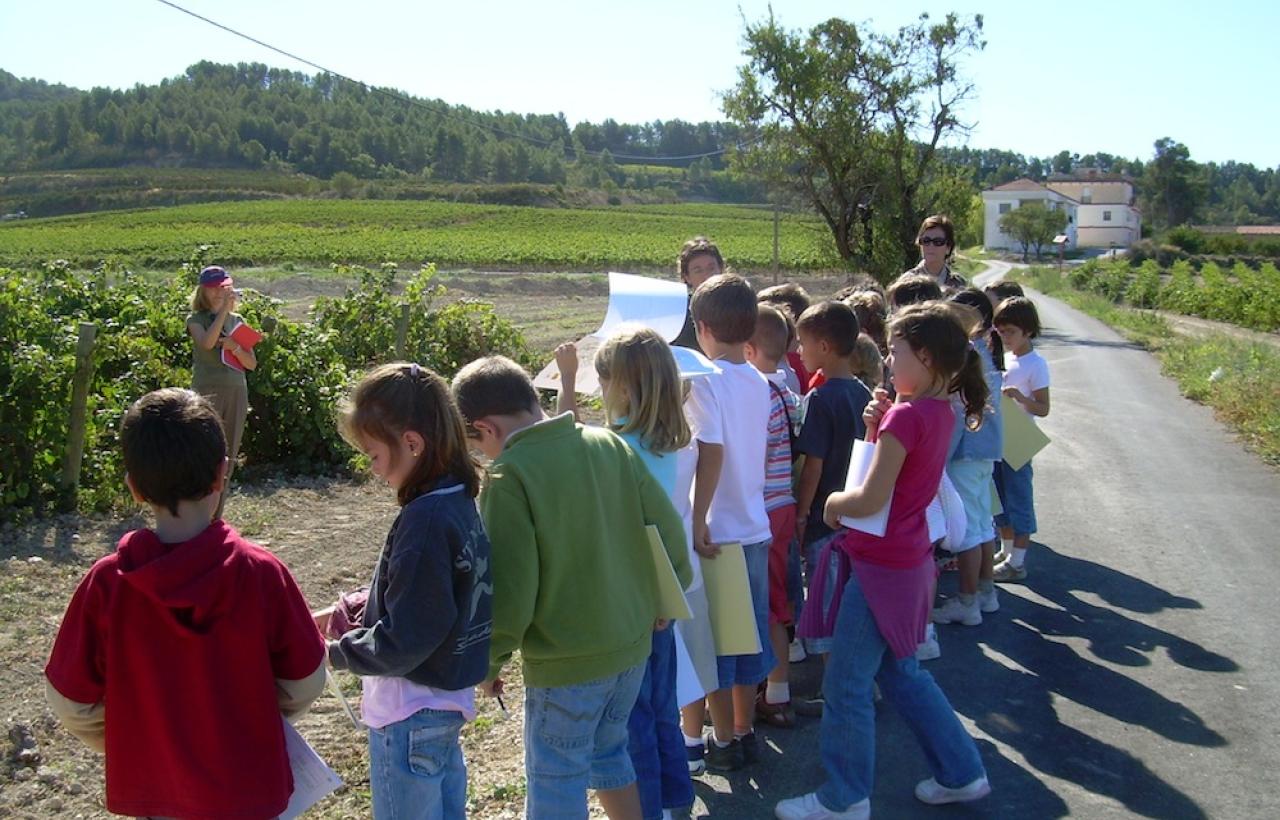 School activities on the Winemaking routes of Subirats School activities on the Winemaking routes of Subirats