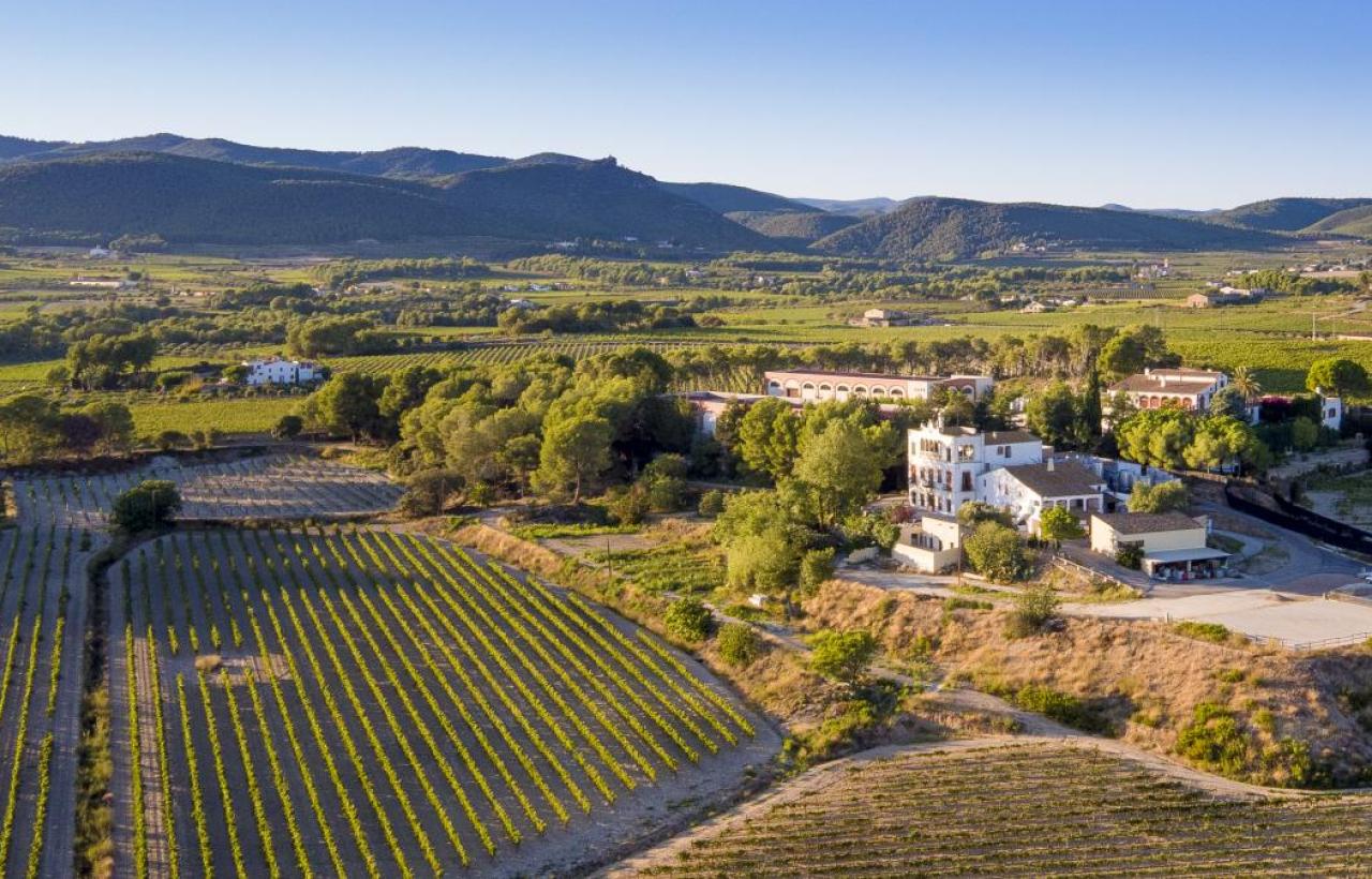 Castellví de la Marca castellvidelamarca.jpg