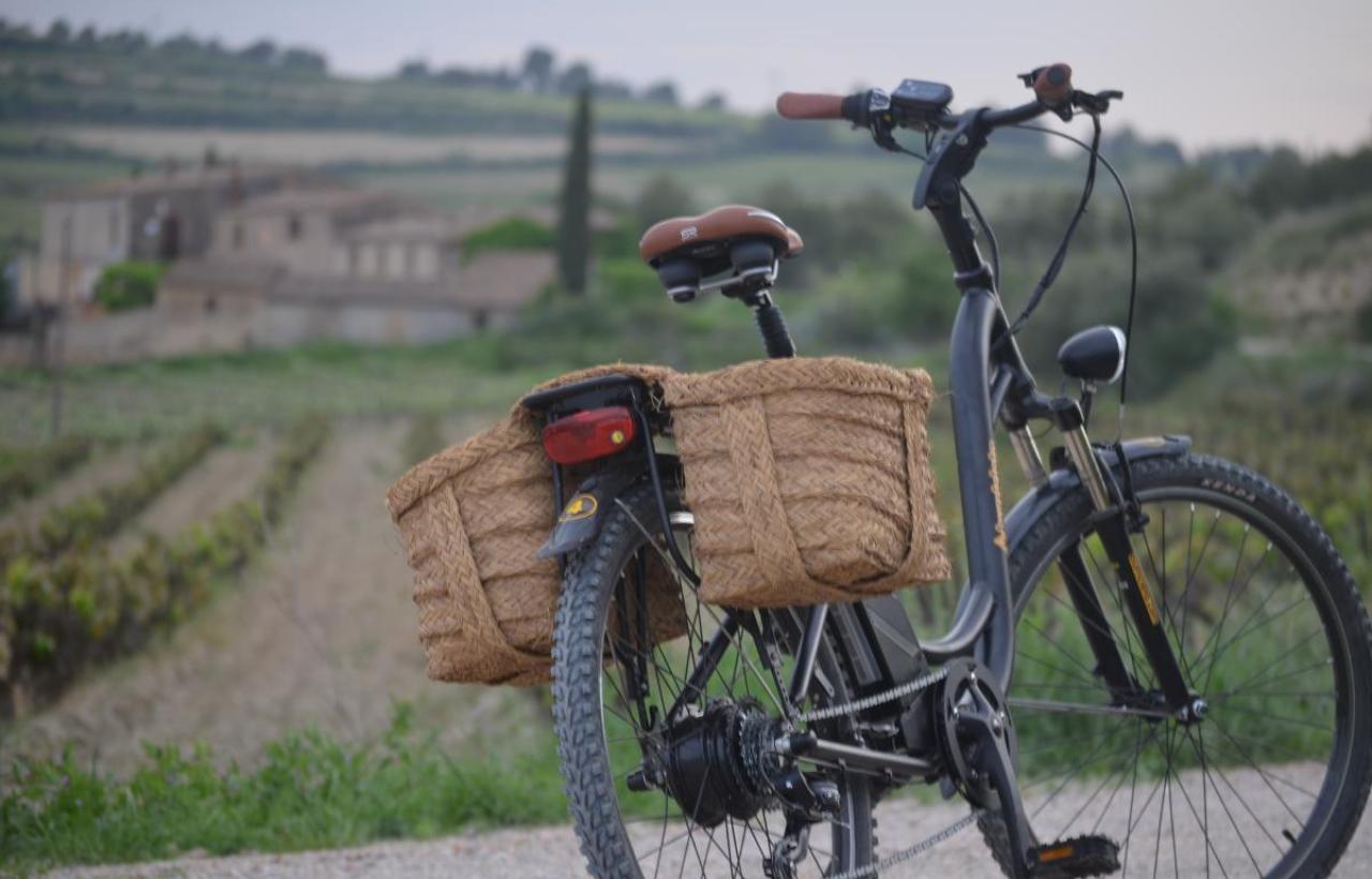 Tripibikes Tripibikes