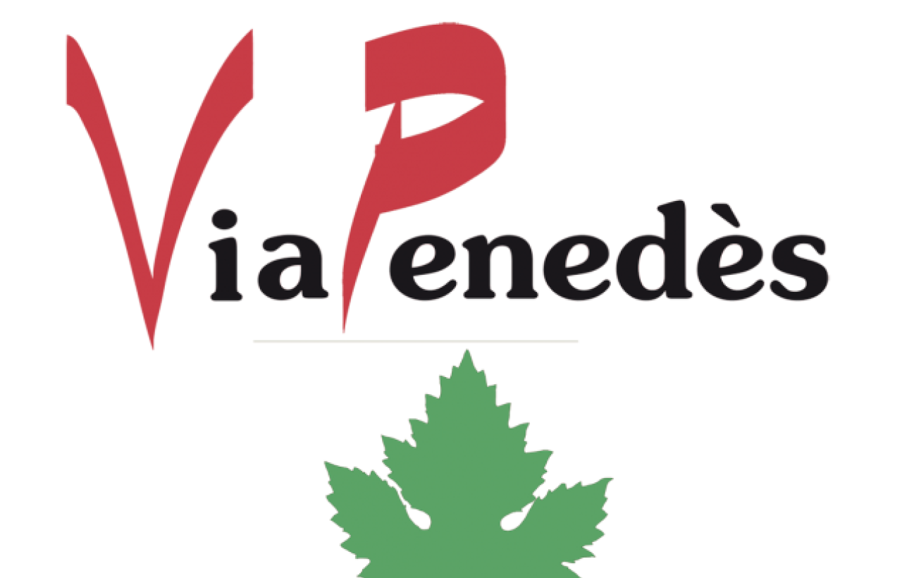 ViaPenedes.com ViaPenedes.com